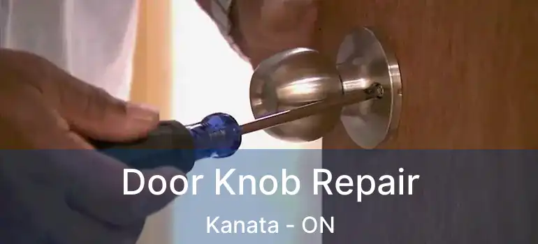  Door Knob Repair Kanata - ON