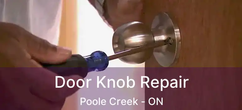  Door Knob Repair Poole Creek - ON