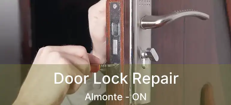  Door Lock Repair Almonte - ON
