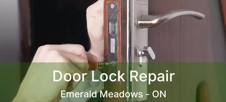  Door Lock Repair Emerald Meadows - ON
