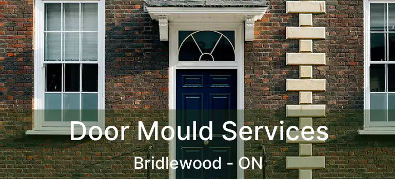  Door Mould Services Bridlewood - ON