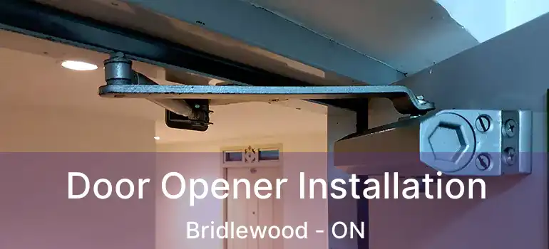  Door Opener Installation Bridlewood - ON