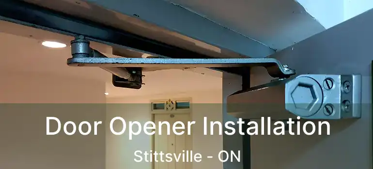  Door Opener Installation Stittsville - ON