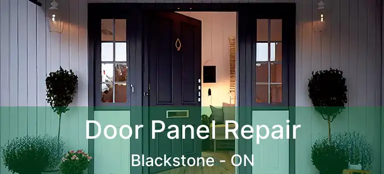  Door Panel Repair Blackstone - ON