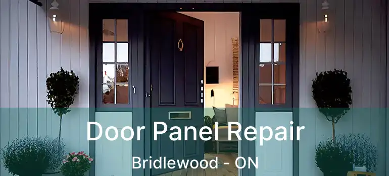  Door Panel Repair Bridlewood - ON