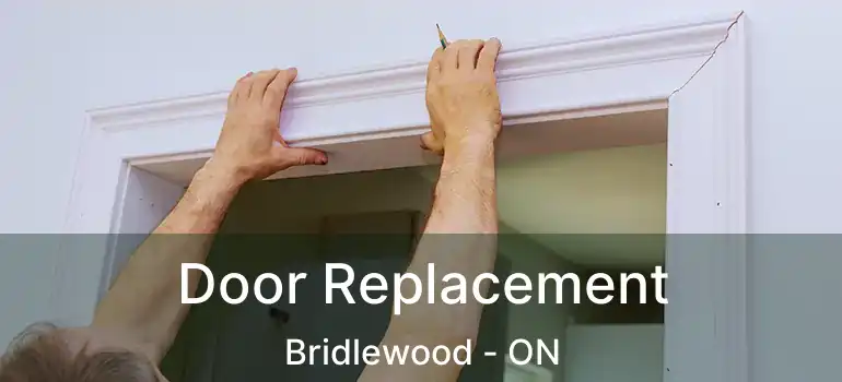  Door Replacement Bridlewood - ON