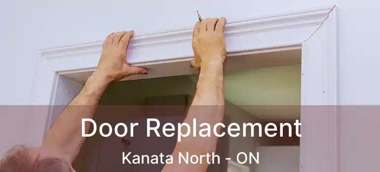  Door Replacement Kanata North - ON