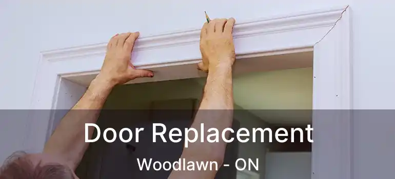  Door Replacement Woodlawn - ON