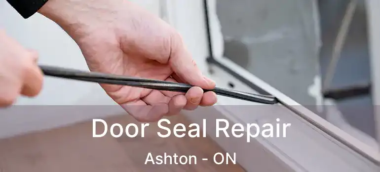  Door Seal Repair Ashton - ON