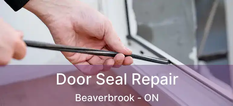  Door Seal Repair Beaverbrook - ON