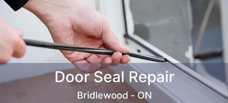  Door Seal Repair Bridlewood - ON