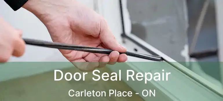  Door Seal Repair Carleton Place - ON