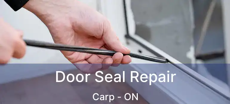 Door Seal Repair Carp - ON