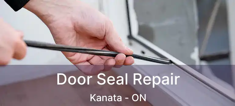  Door Seal Repair Kanata - ON