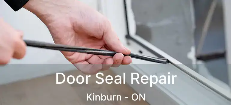  Door Seal Repair Kinburn - ON
