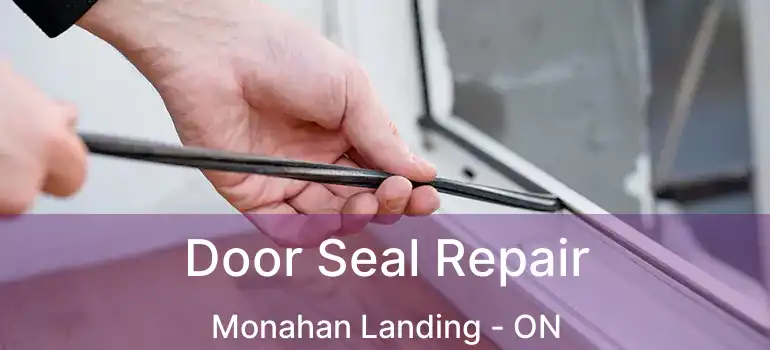  Door Seal Repair Monahan Landing - ON