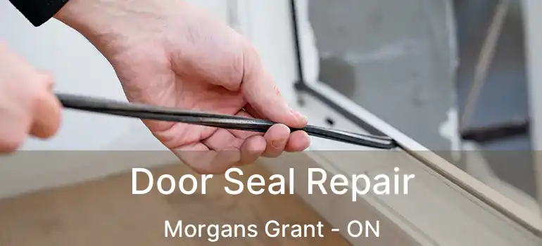  Door Seal Repair Morgans Grant - ON
