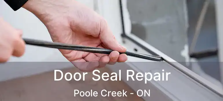  Door Seal Repair Poole Creek - ON