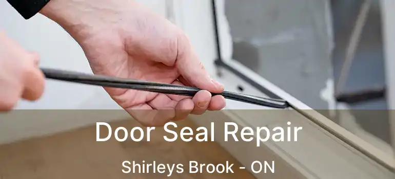  Door Seal Repair Shirleys Brook - ON