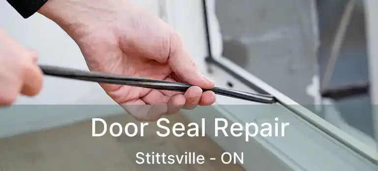  Door Seal Repair Stittsville - ON