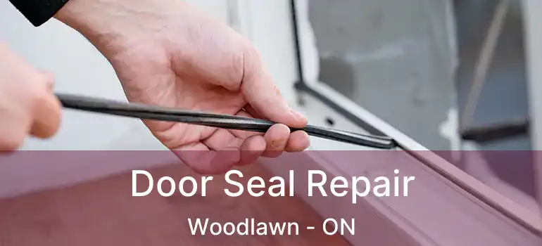  Door Seal Repair Woodlawn - ON