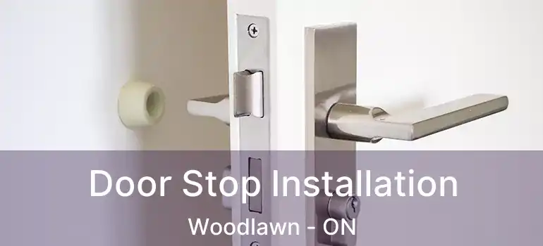  Door Stop Installation Woodlawn - ON
