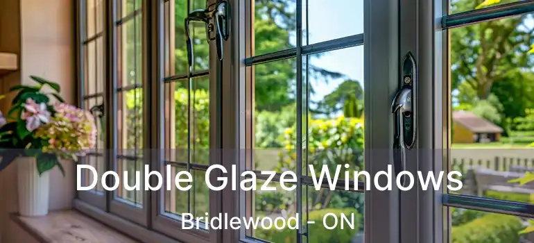  Double Glaze Windows Bridlewood - ON