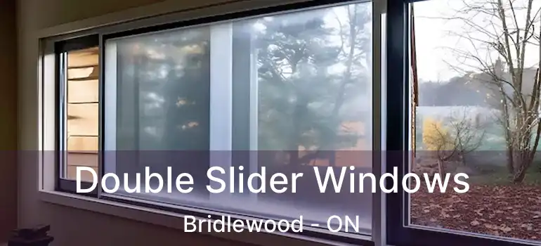  Double Slider Windows Bridlewood - ON