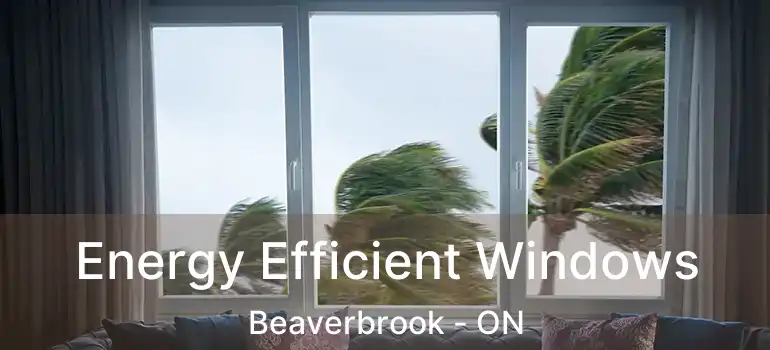  Energy Efficient Windows Beaverbrook - ON