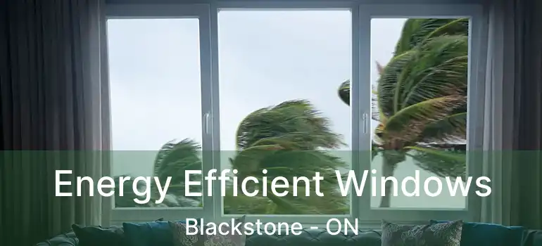  Energy Efficient Windows Blackstone - ON