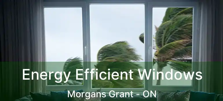  Energy Efficient Windows Morgans Grant - ON