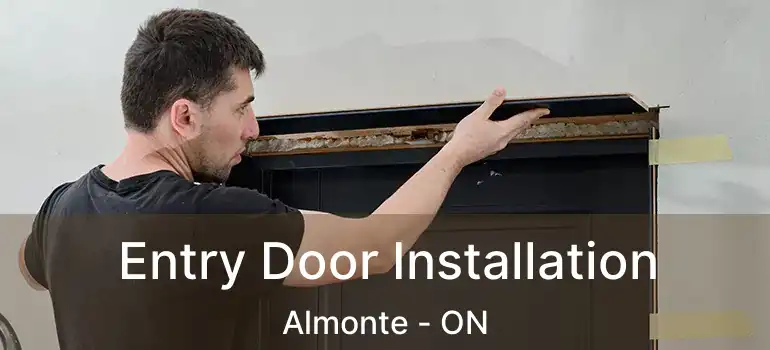  Entry Door Installation Almonte - ON
