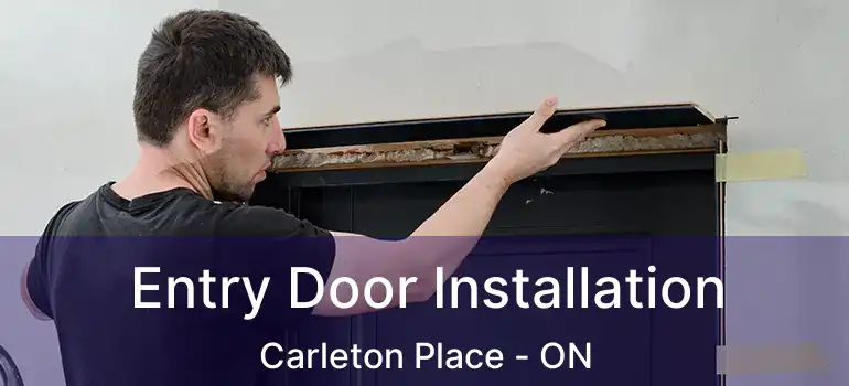  Entry Door Installation Carleton Place - ON