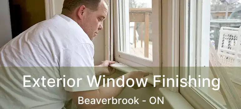  Exterior Window Finishing Beaverbrook - ON