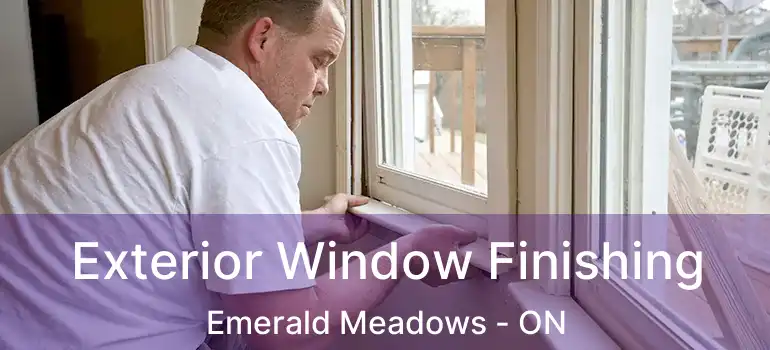  Exterior Window Finishing Emerald Meadows - ON