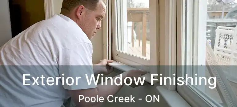  Exterior Window Finishing Poole Creek - ON