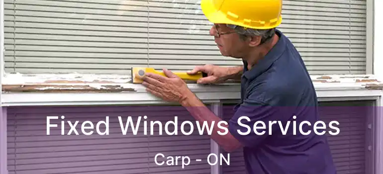  Fixed Windows Services Carp - ON