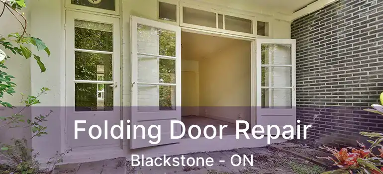  Folding Door Repair Blackstone - ON