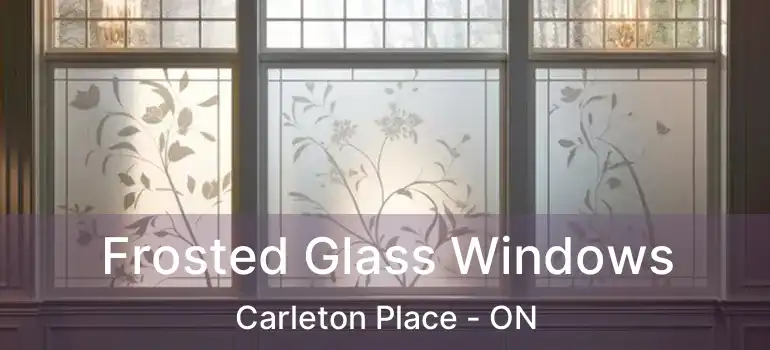  Frosted Glass Windows Carleton Place - ON