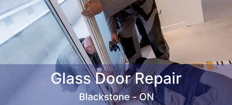  Glass Door Repair Blackstone - ON