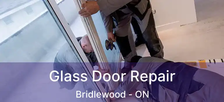  Glass Door Repair Bridlewood - ON