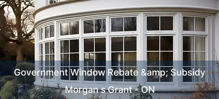  Government Window Rebate & Subsidy Morgan s Grant - ON