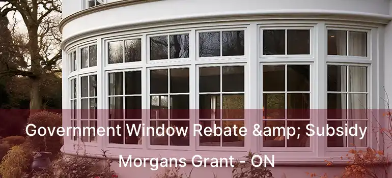  Government Window Rebate & Subsidy Morgans Grant - ON
