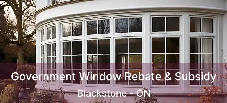  Government Window Rebate & Subsidy Blackstone - ON