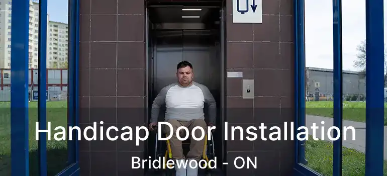  Handicap Door Installation Bridlewood - ON