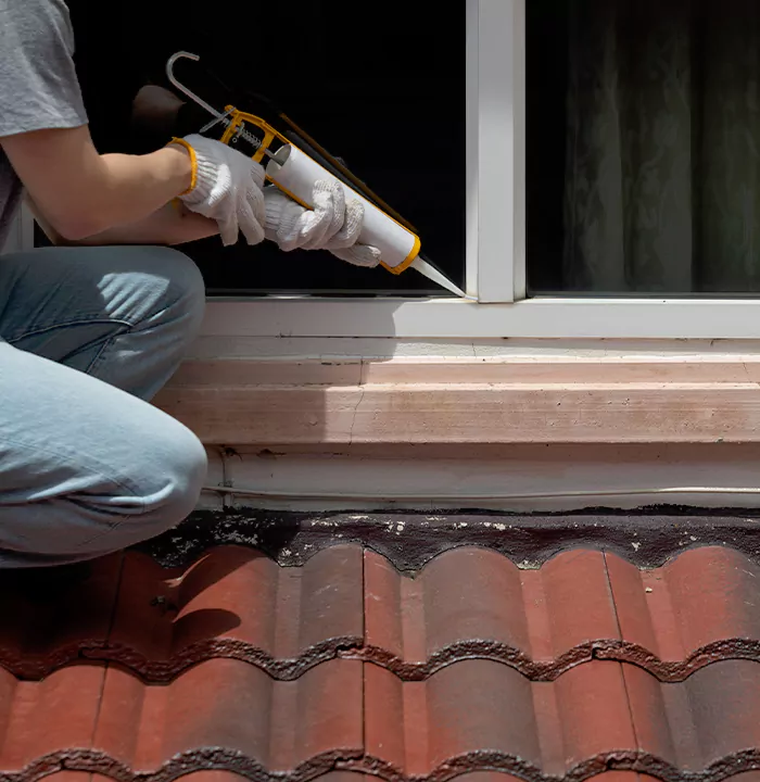 Roof Window Services in Kanata, Ontario