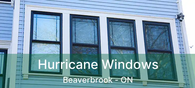  Hurricane Windows Beaverbrook - ON