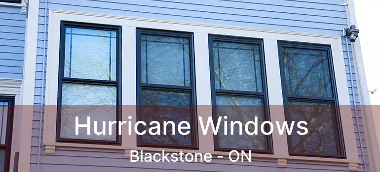  Hurricane Windows Blackstone - ON