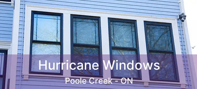  Hurricane Windows Poole Creek - ON