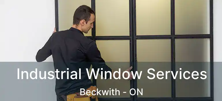  Industrial Window Services Beckwith - ON